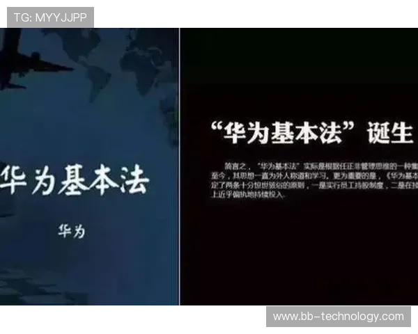 如何打造企业家精神与创新驱动的现代商业模式促进可持续发展